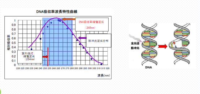 脈沖強(qiáng)光水處理——飲用水微生物凈化處理技術(shù)
